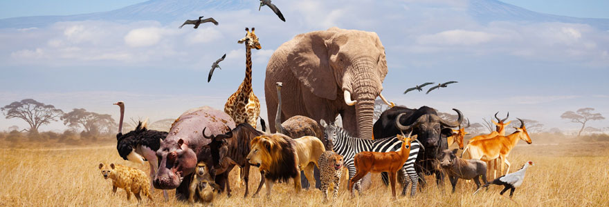 parc animalier